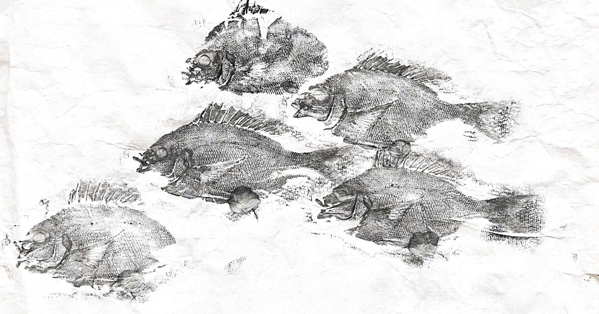 Gyotaku: The Japanese Art Of Printing Fish